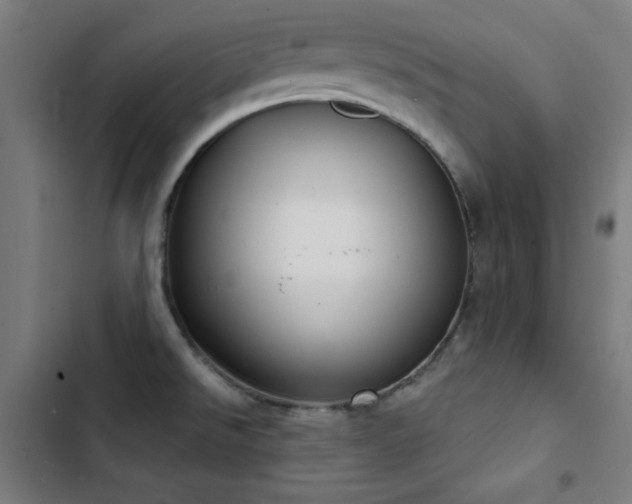 X0000103401526200809121230