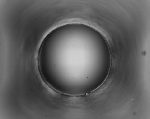 X0000103401527200809121230