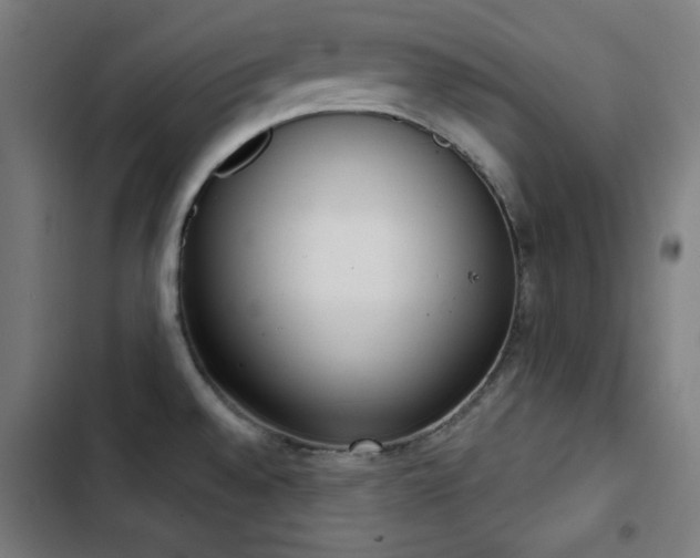 X0000103401528200809121230