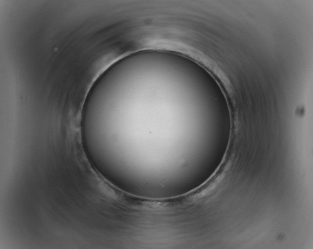 X0000103401529200809121230