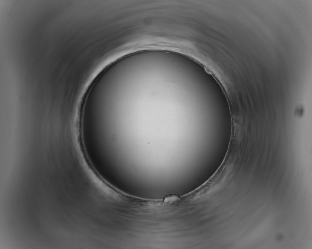 X0000103401531200809121230