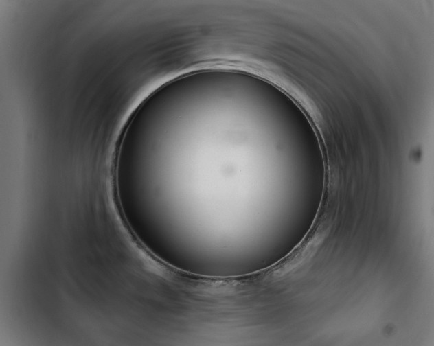 X0000103401533200809121230
