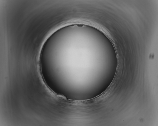 X0000103401536200809121231