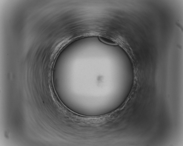 X0000103400001200809191532