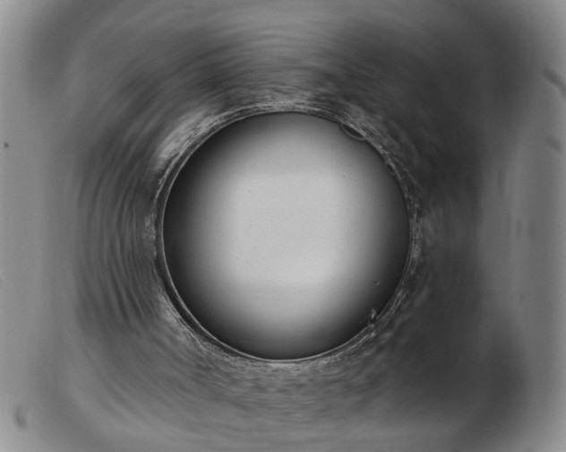 X0000103400002200809191532