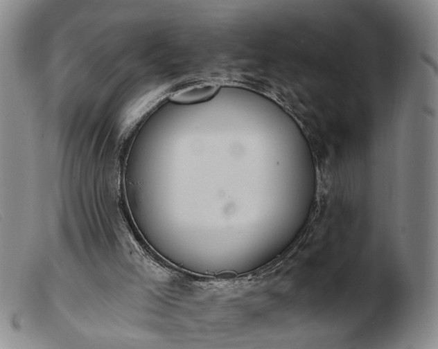 X0000103400005200809191532