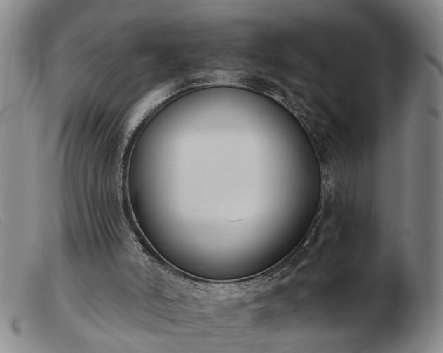 X0000103400006200809191532