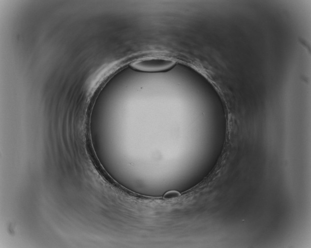 X0000103400007200809191532