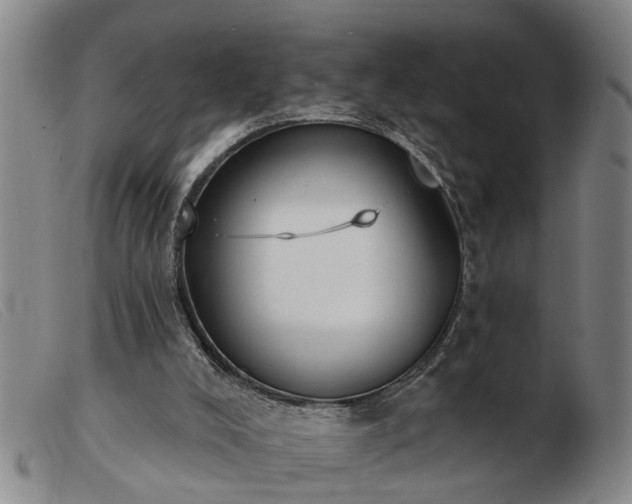 X0000103400008200809191532