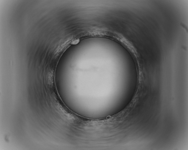 X0000103400009200809191532