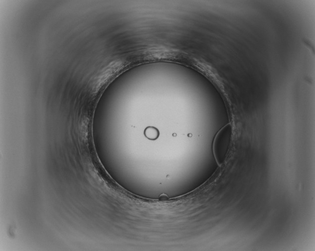 X0000103400010200809191532