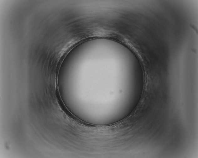 X0000103400011200809191532