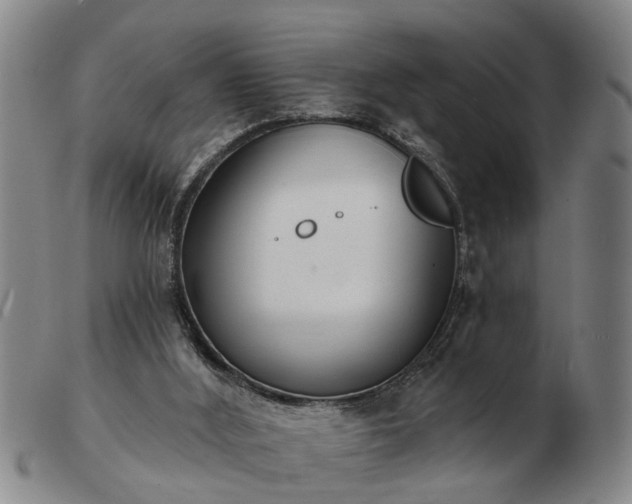 X0000103400012200809191532