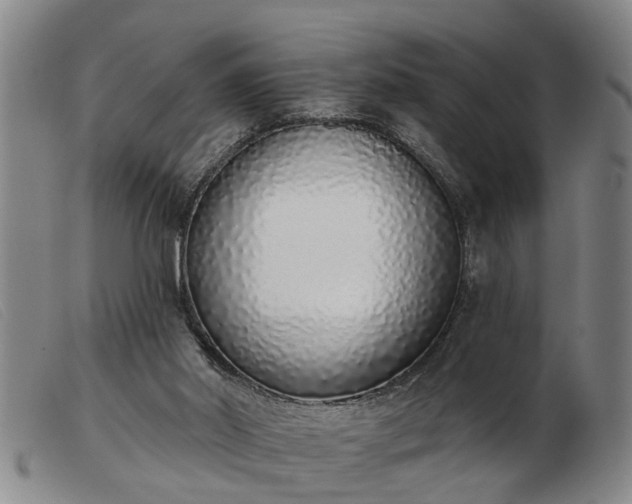 X0000103400014200809191532