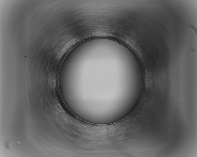 X0000103400015200809191532