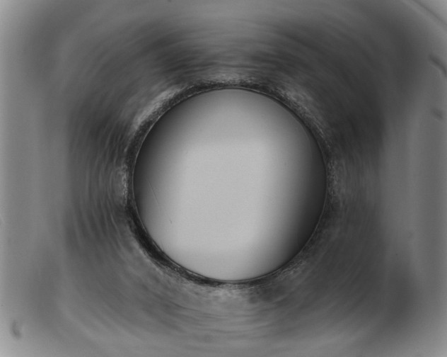 X0000103400016200809191532