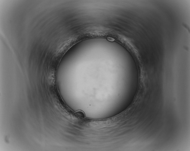 X0000103400017200809191532