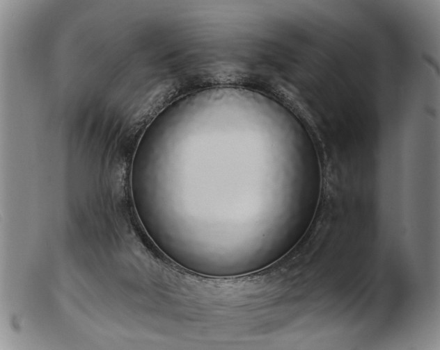 X0000103400018200809191532