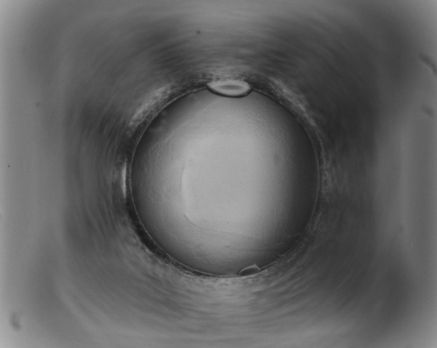 X0000103400019200809191532