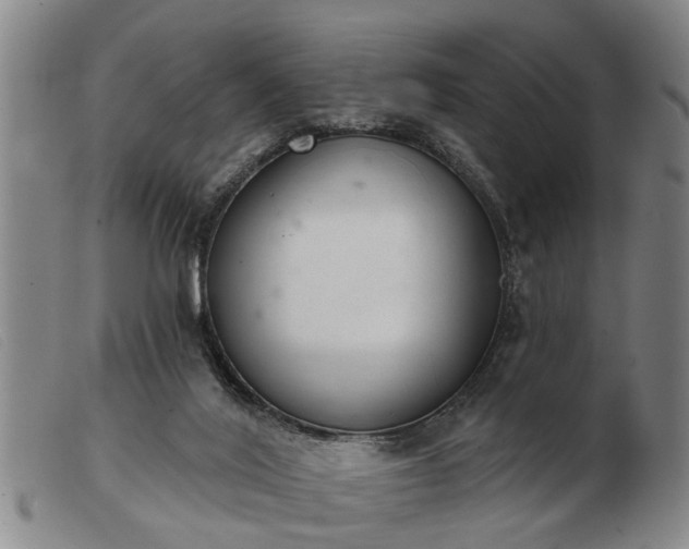 X0000103400020200809191532