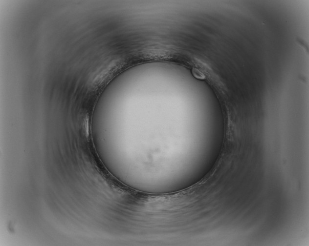 X0000103400021200809191532