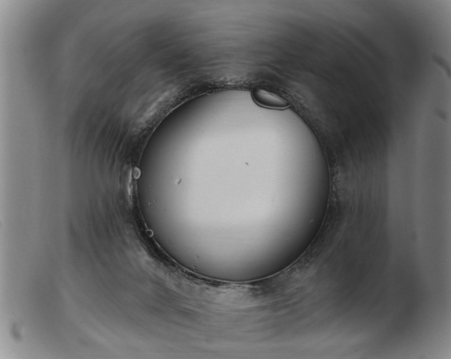 X0000103400024200809191532