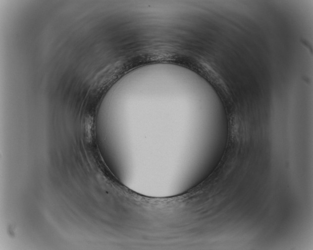 X0000103400026200809191532