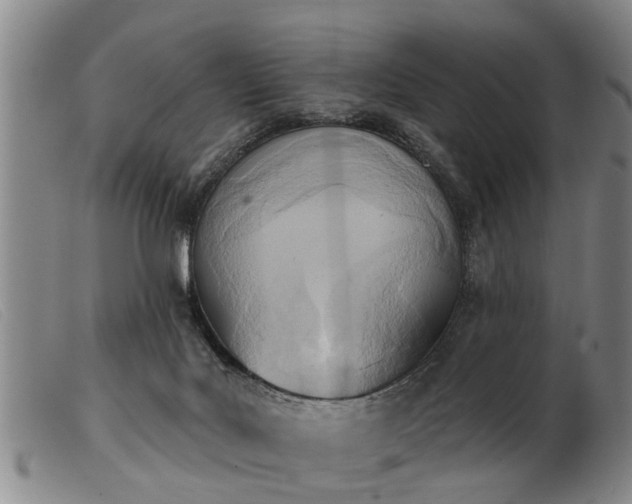 X0000103400027200809191532