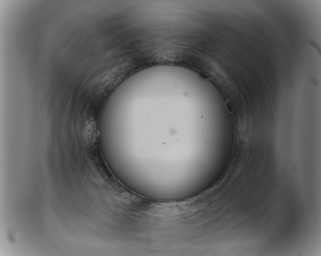 X0000103400029200809191532