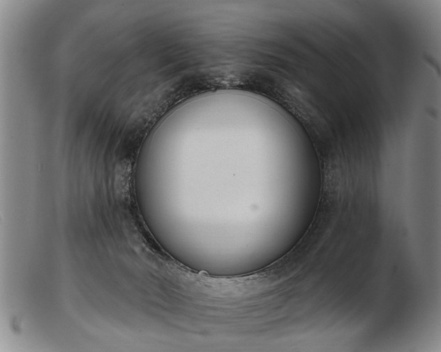 X0000103400030200809191532