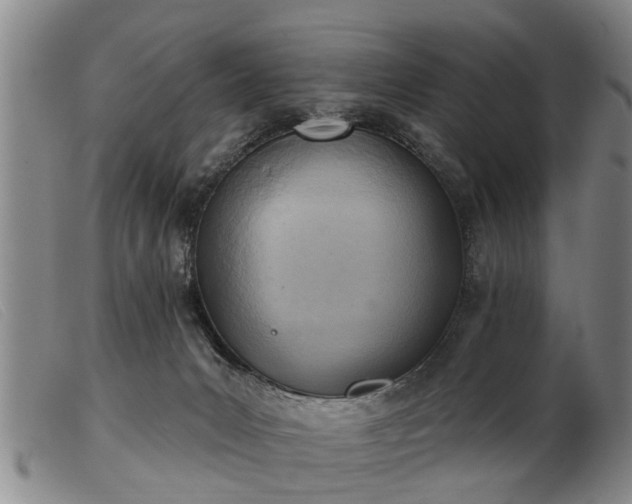 X0000103400031200809191532