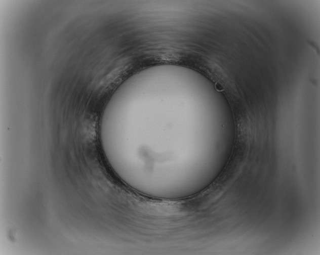 X0000103400032200809191532