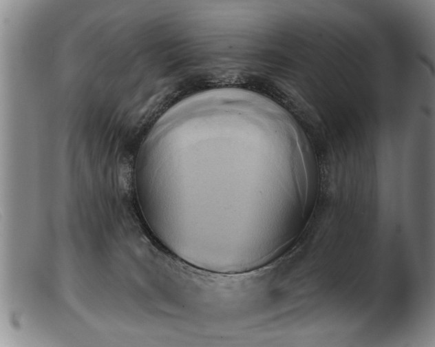 X0000103400035200809191532