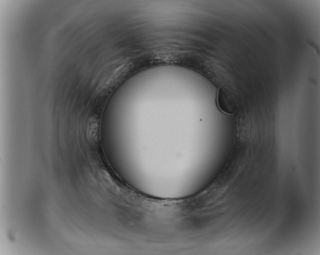 X0000103400036200809191532