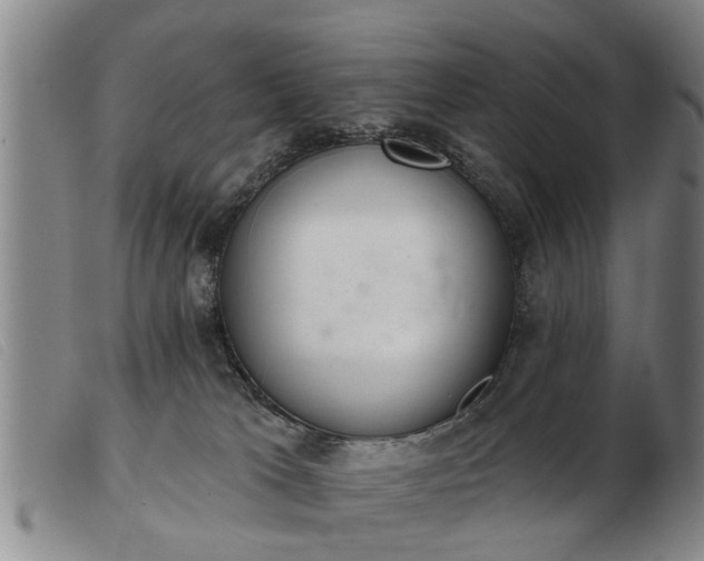 X0000103400037200809191532