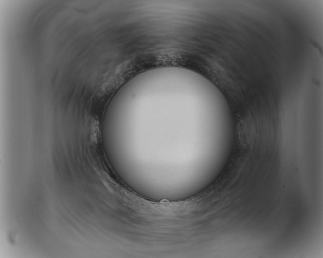 X0000103400038200809191532