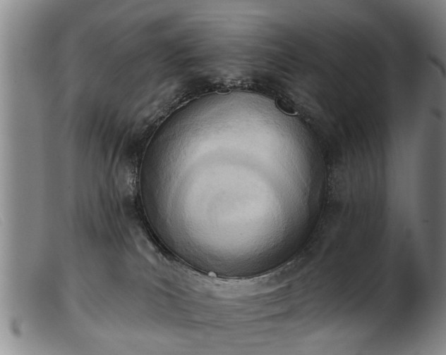 X0000103400039200809191532