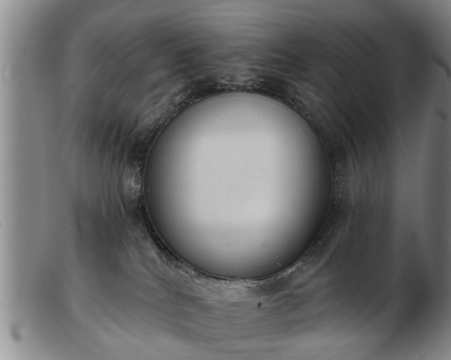 X0000103400040200809191532