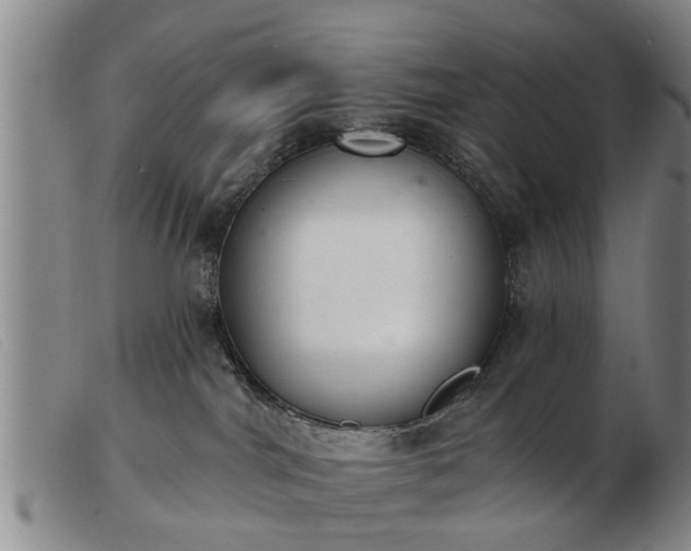 X0000103400044200809191532