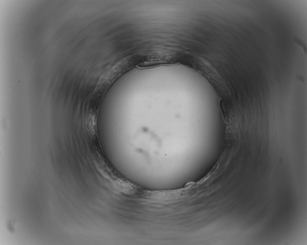 X0000103400045200809191532