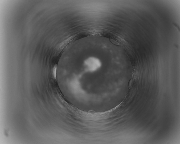 X0000103400047200809191532