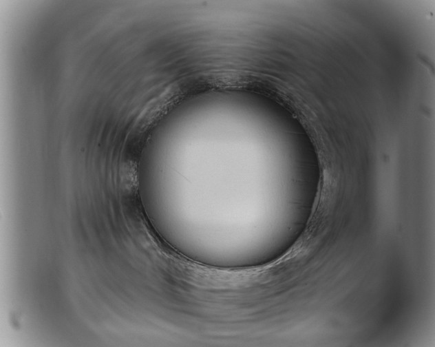 X0000103400048200809191532