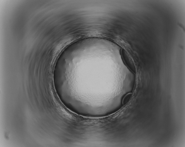 X0000103400049200809191531