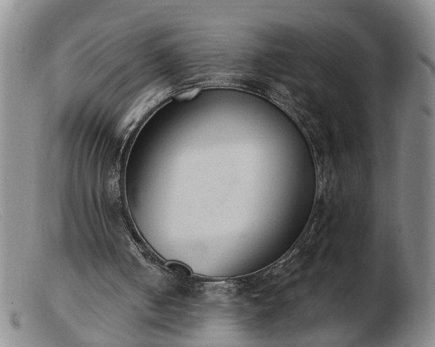 X0000103400050200809191531