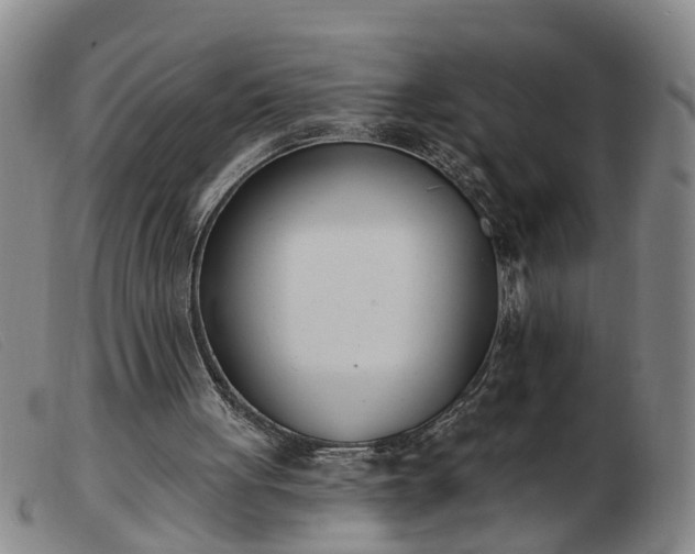 X0000103400051200809191531