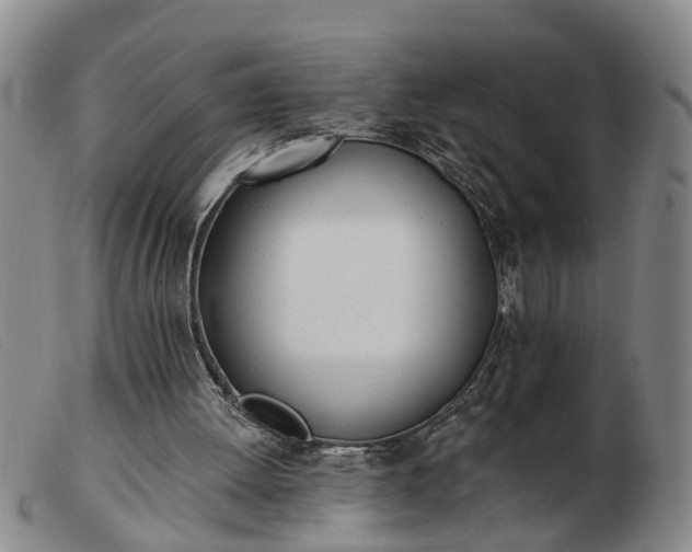 X0000103400052200809191531