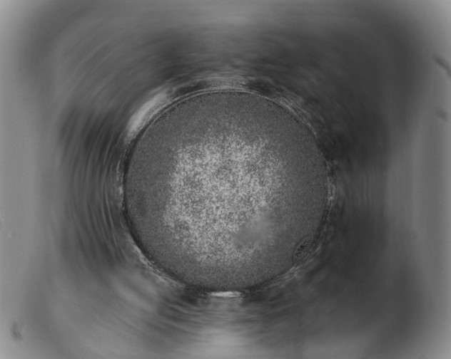 X0000103400053200809191531