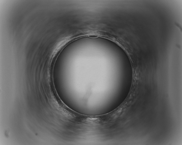 X0000103400055200809191531