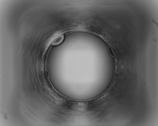 X0000103400056200809191531