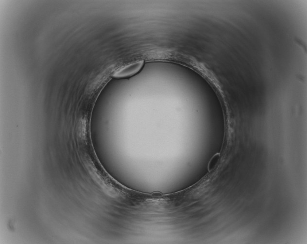 X0000103400057200809191531